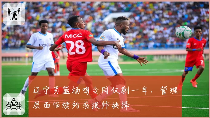 辽宁男篮杨鸣合同仅剩一年，管理层面临续约或换帅抉择